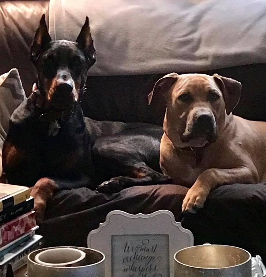 House alarm activated...