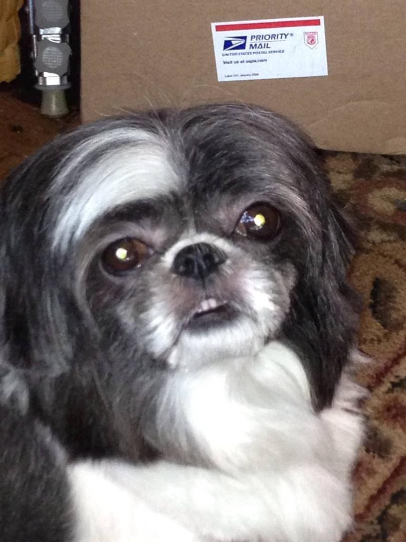Cooper's new do
