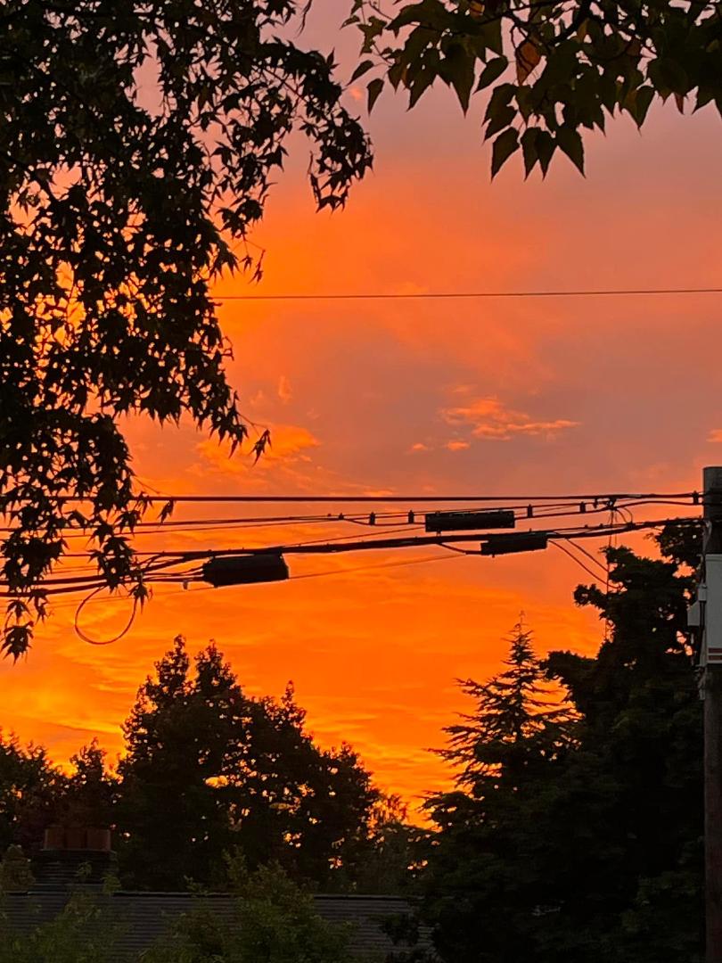 Debbie S Breazeale, Sharon Breazeale , Geneva Breazeale,
I didn’t get to see the Northern lights last, but did get to see this sunset on Friday.