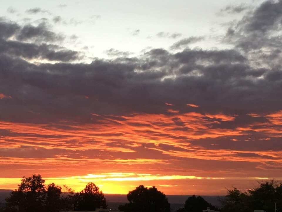 Randall Berner's album, Timeline photos