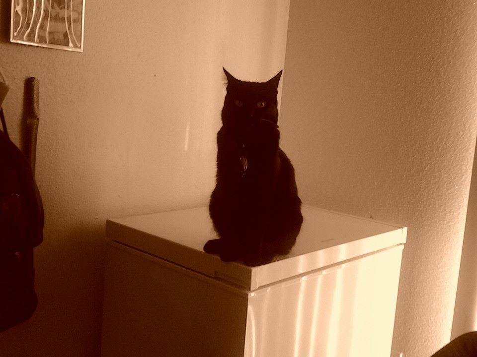 My name is kobi but you can call me mr handsome