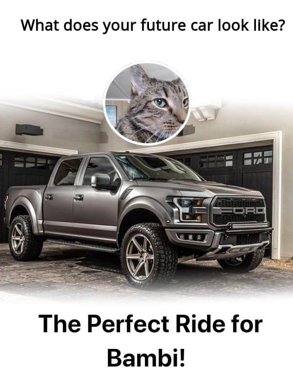 Two problems. One, my husband will not allow a Ford in his driveway. Two, I'd never be able to get my chubby ass up into this vehicle. Nice try, but no thank you.