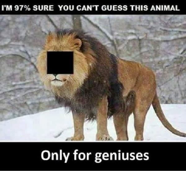 Only 1 out of 10 people can pass this quiz.
