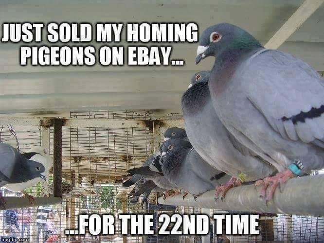Brian Deakin's album, Timeline Photos