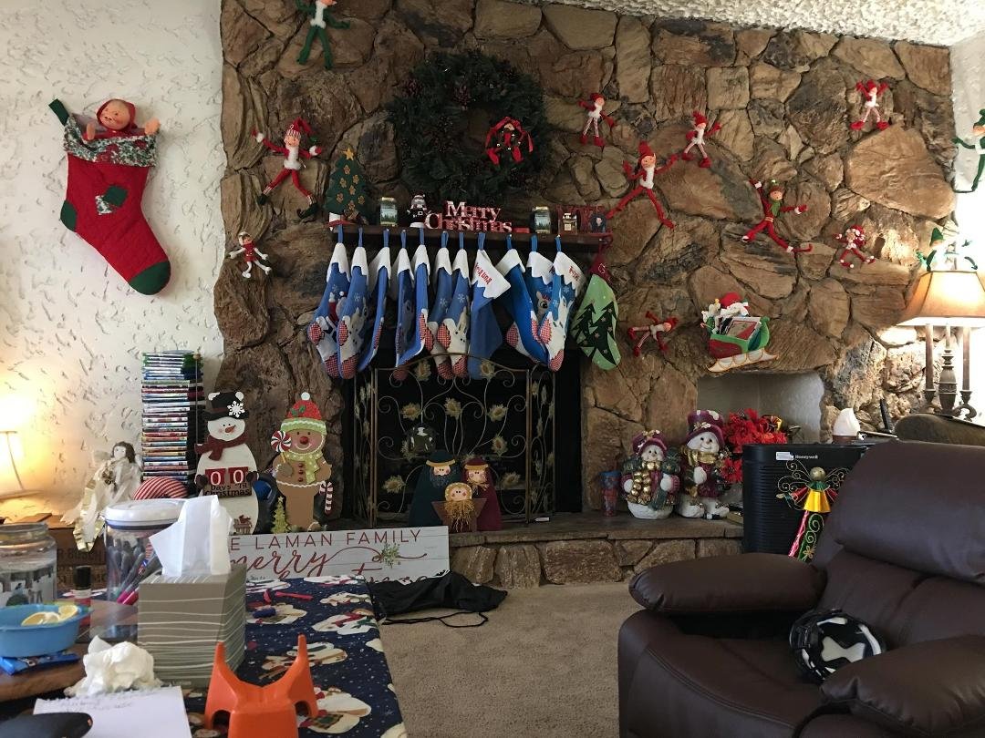 These are Elf on the Shelf’s buddies