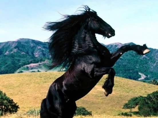 Feliz fin de semana...es viernes y el cuerpo lo sabe....saludos a todos...