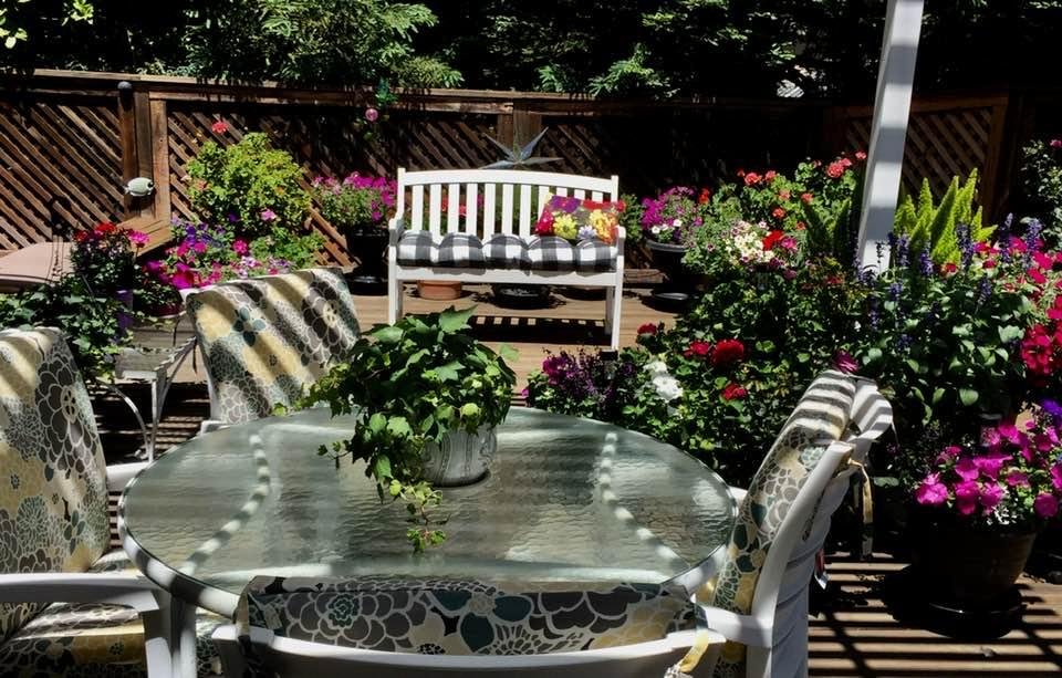 Our outdoor happy place🥰❤️🌺