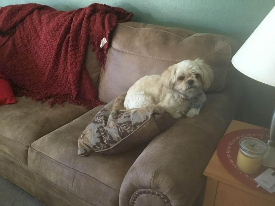This is our Nike. He doesn’t care we are stuck together