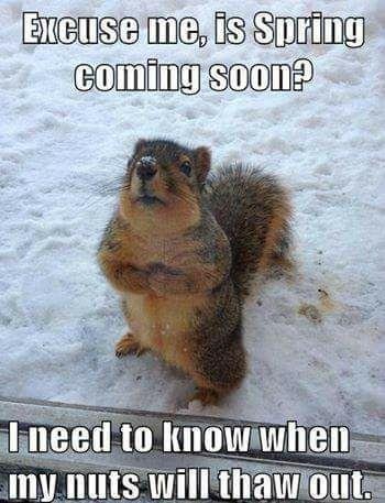 Ron Miller's album, Timeline Photos