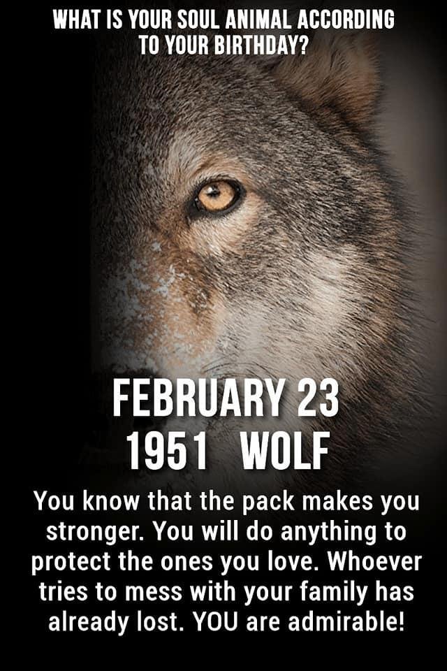 Donovan Colbry's album, Timeline Photos