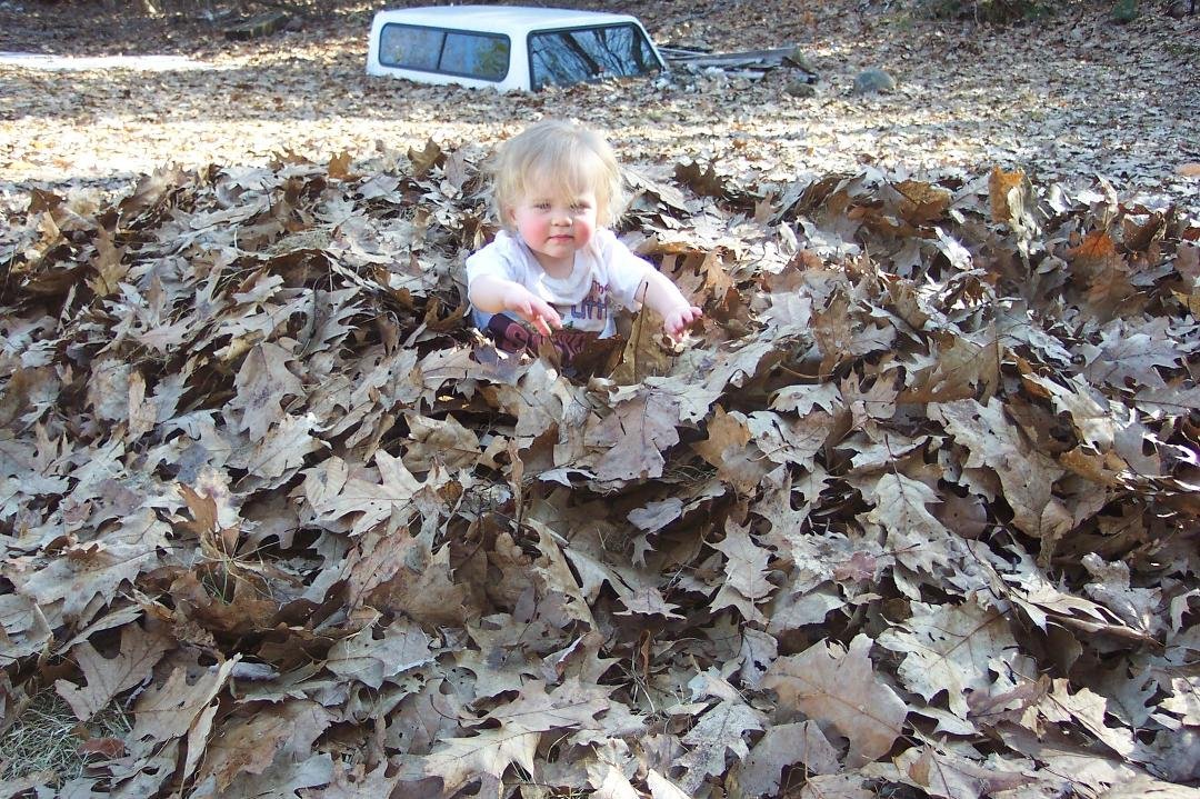 Playing in the leaves