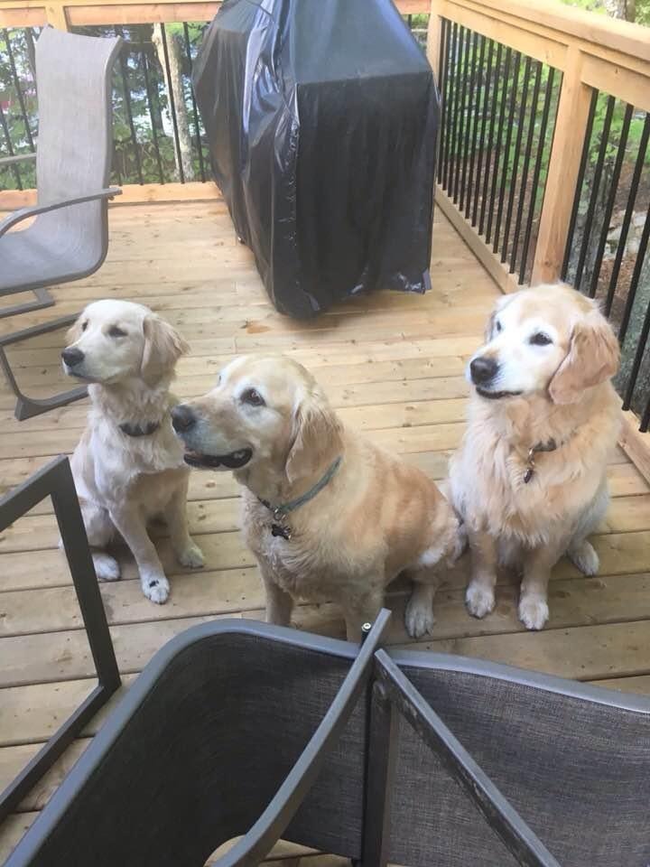 On the deck to dry off
