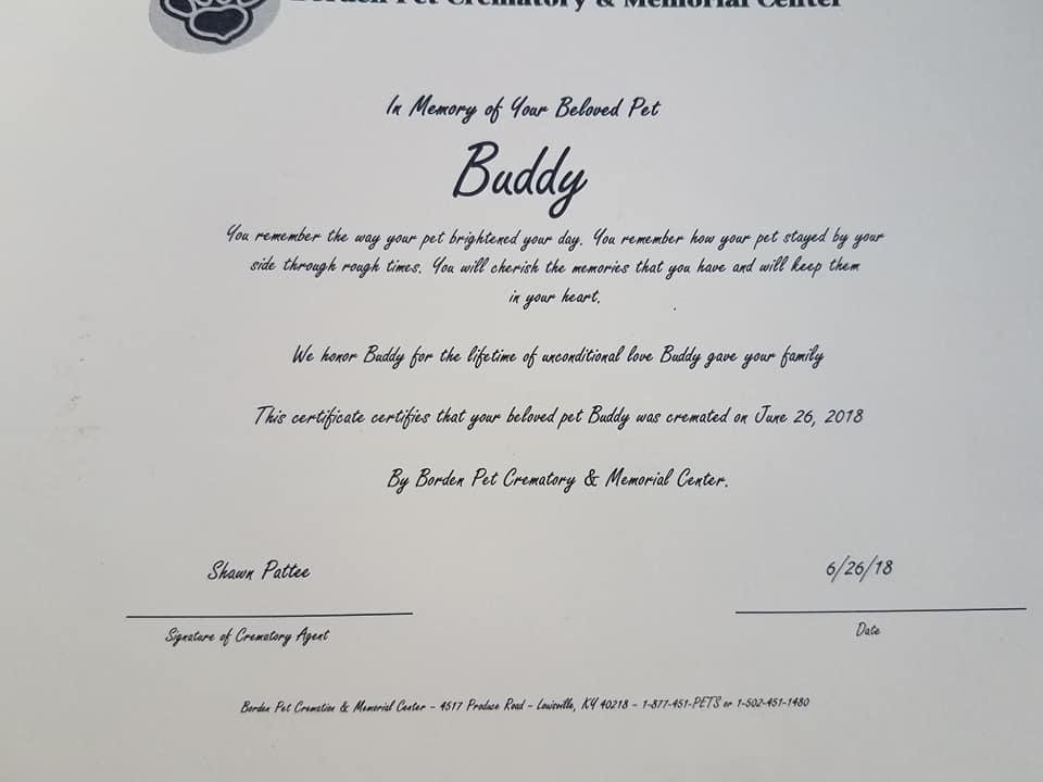 Robert Williams' album, Timeline Photos