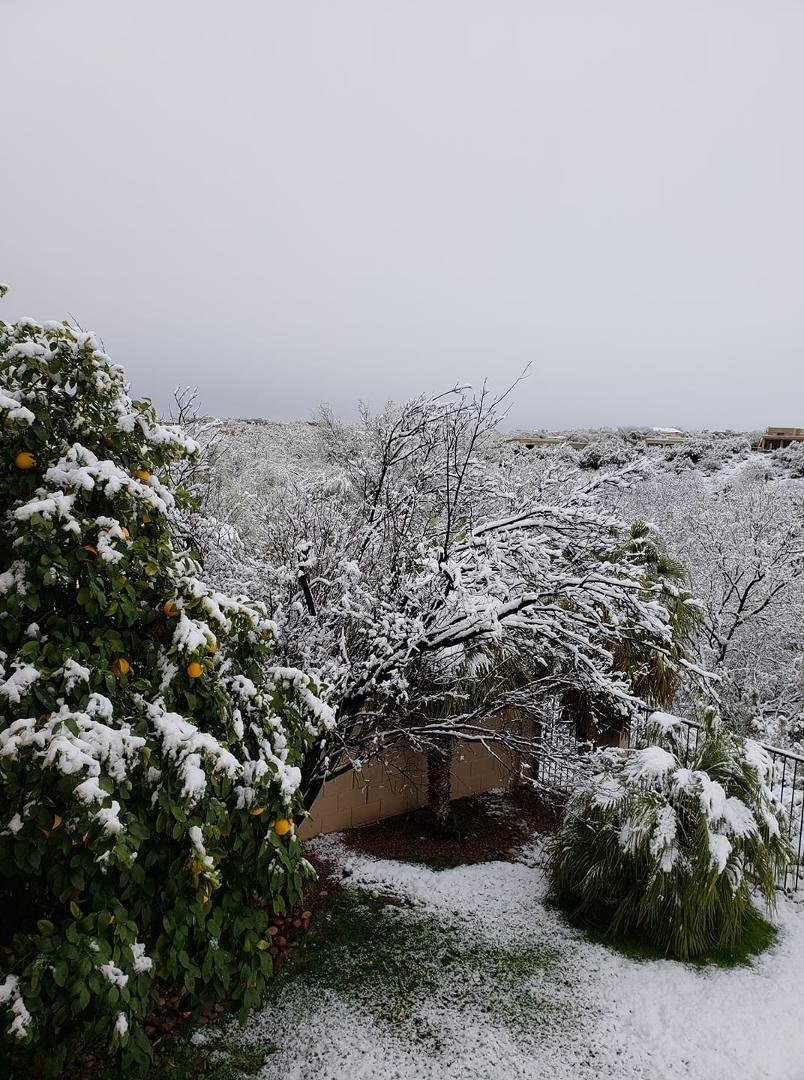 A snow shot from the upstairs porch.