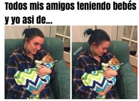 No thanks, mi cheetarah es la única 😺❤💋😍🐈🐱