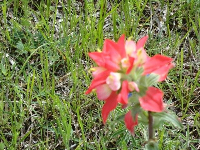 Jackie Garner's album, Timeline Photos