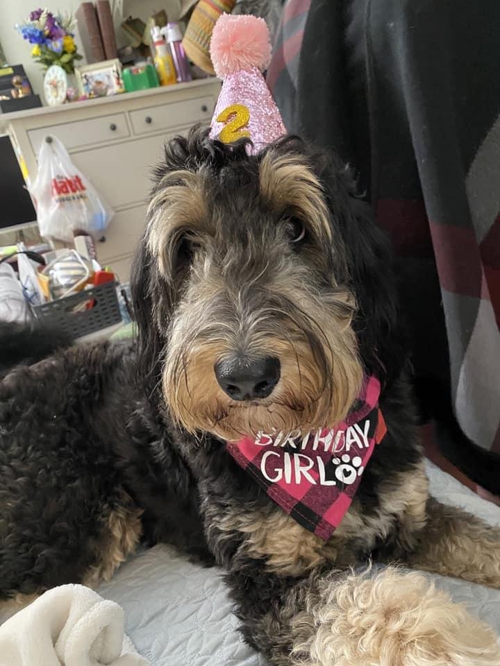 Maggie’s 2nd Birthday 🥳 🎂