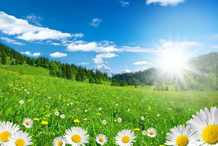 \"Springtime in the Alps\" puzzle, from https://puzzledhearts.com/ph?pid=springtime_in_the_alps