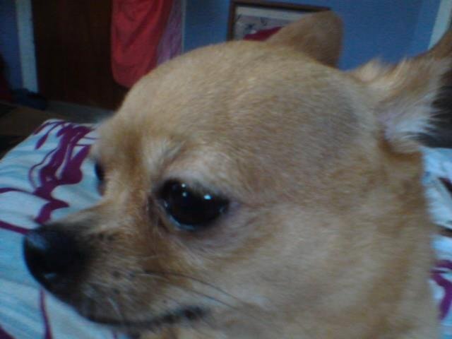 My little granddaughter Daisy! LOL