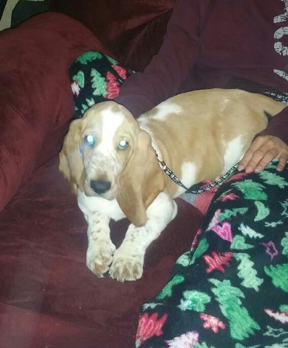 My little man he's getting so big!!!!!!