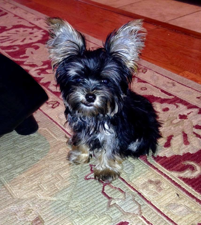Precious little Charlie! The LeVines's love their baby!