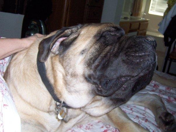 Scatch me behind the ear...