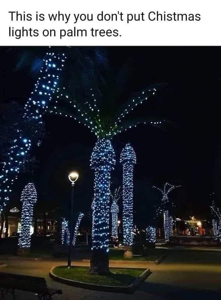 Oh how I love the smell of palm trees in the morning