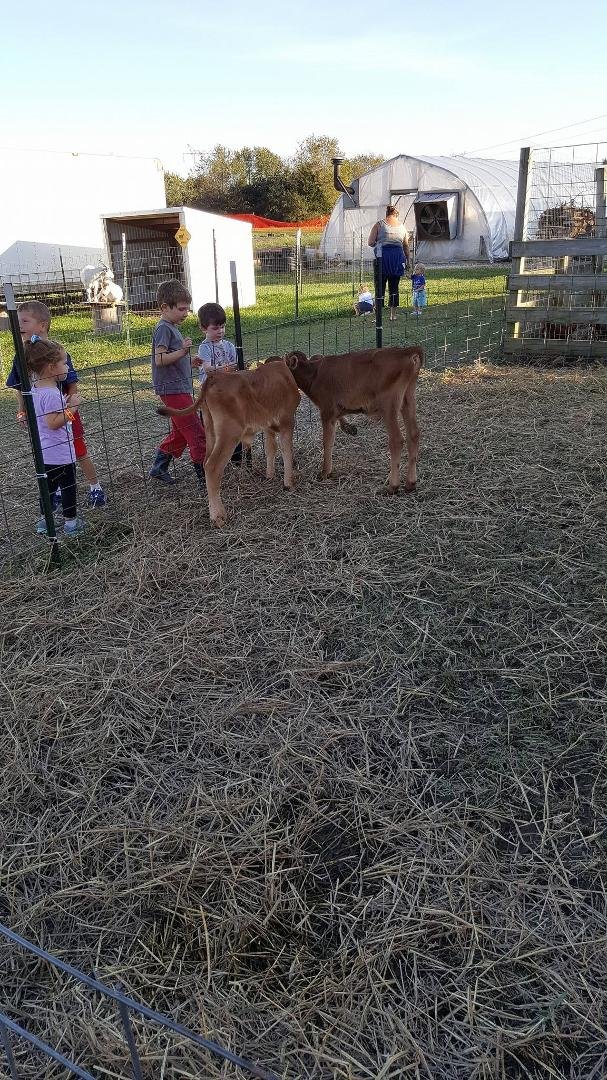 Pumpkin Patch with the grandsons.