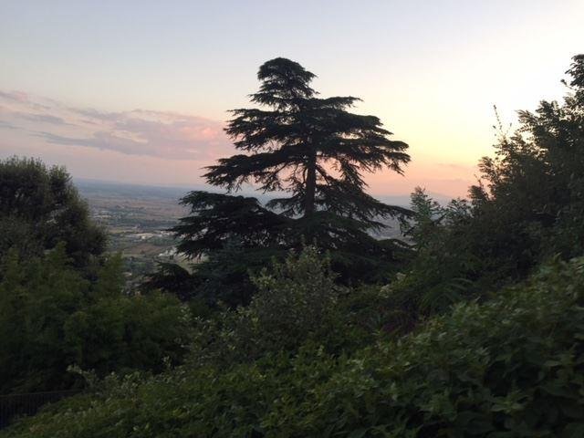 Timothy Prunka's album, Timeline Photos