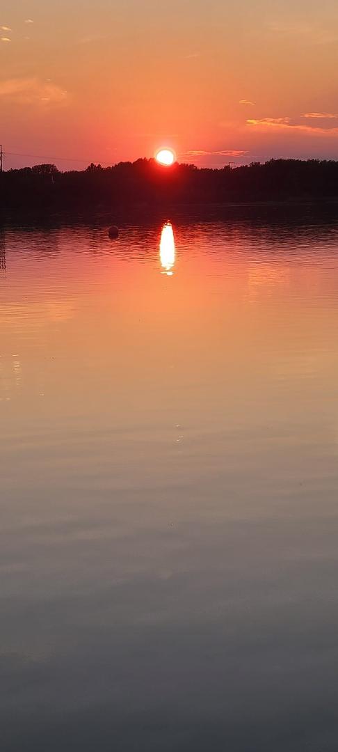 Candace Shaffer's album, Mobile uploads