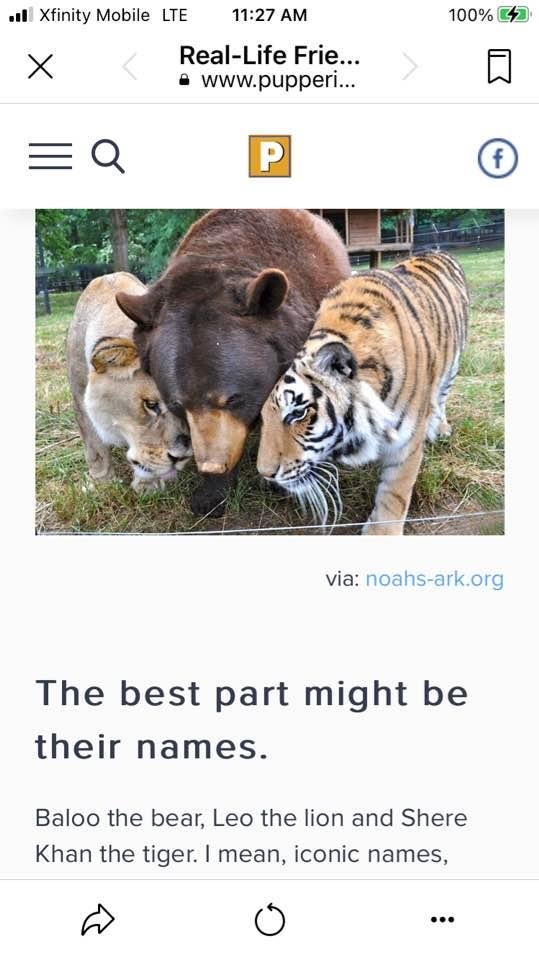 Michael Hegh's album, Timeline Photos