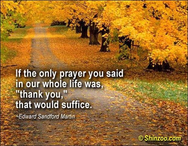 Happy Thanksgiving all!