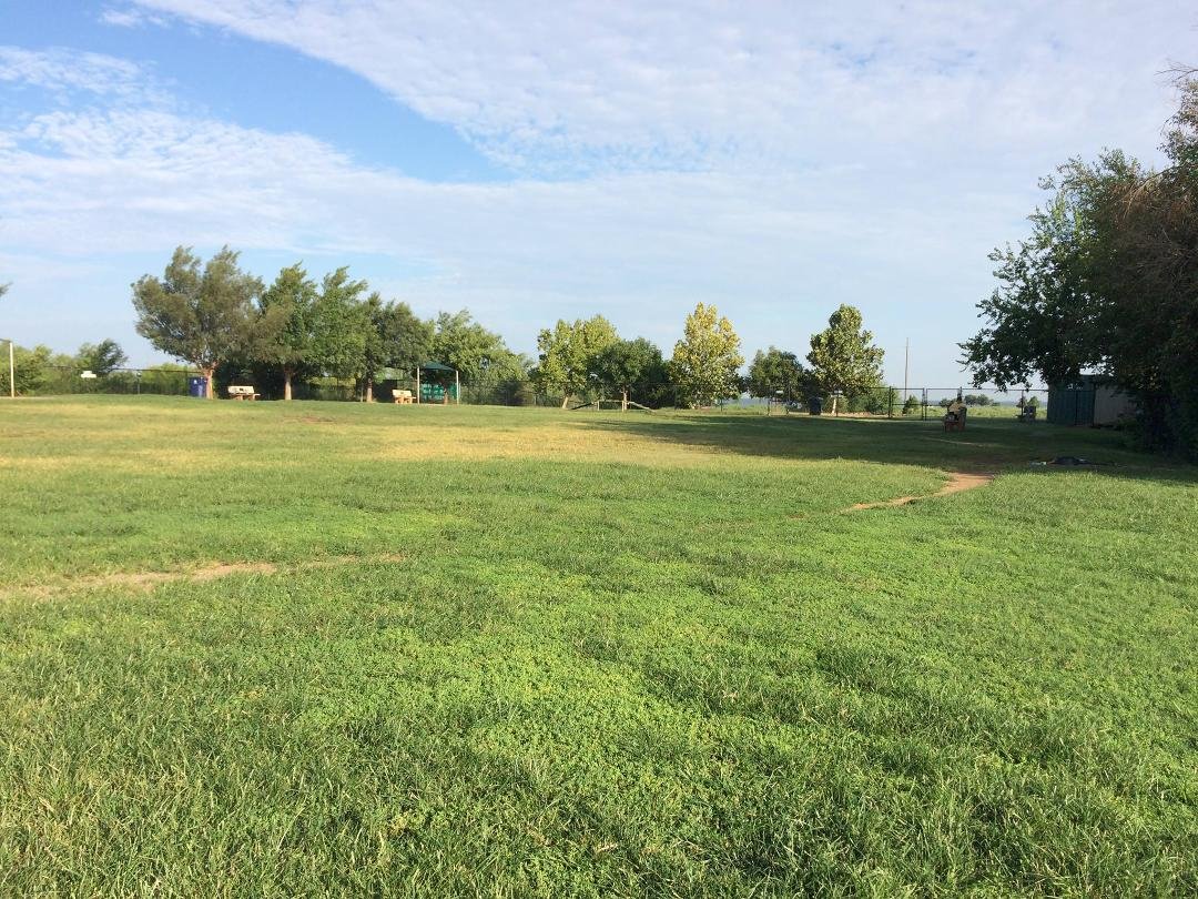 Beautiful morning at the Hefner dog park