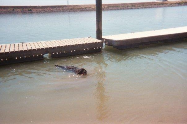 Swimming
