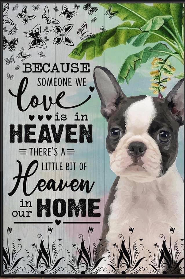 Frances Weaver's album, Timeline Photos