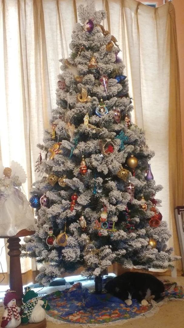 Stormy loves the Christmas tree ❤