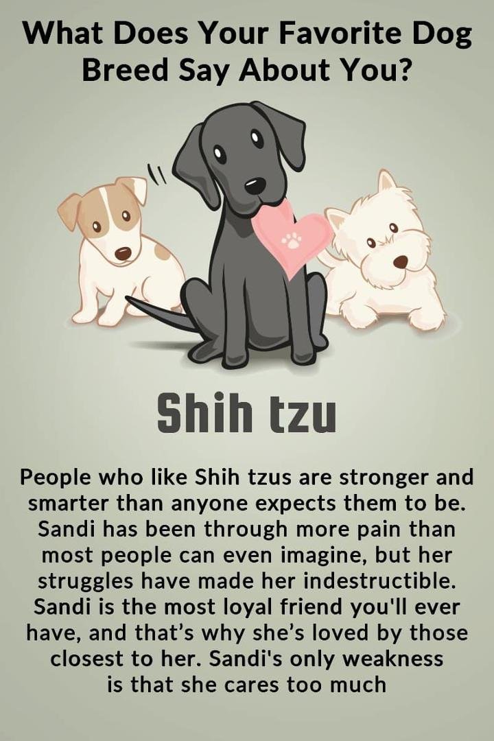 Sandi Bennett's album, Timeline Photos