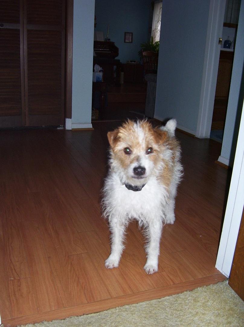 Gus, the newest member of our family. Cute Cute Cute.