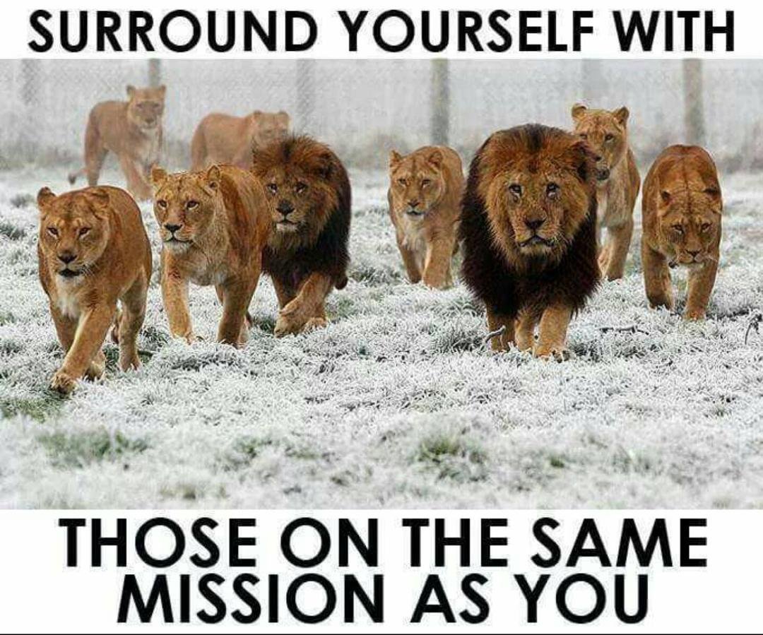 Watch ya back because by nature one of these young thunder cats plotting to take your place and get ya women. And on that day she'll gladly go with him.