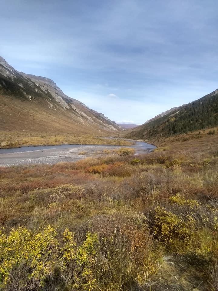 Joseph Gregor's album, Mobile Uploads