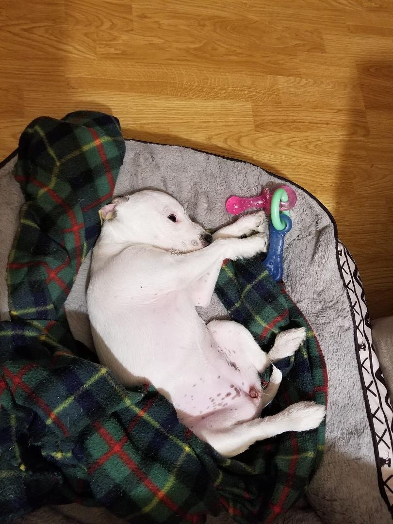 ROXY'S chill photo of the day !