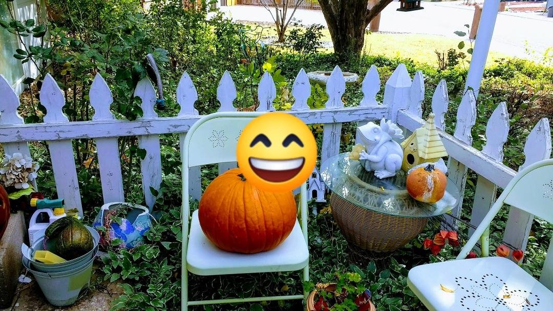 The great pumpkin was at auntie Trudy 's 🏠!!!