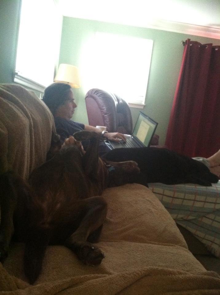 Chillin' Mark and the dogs (his entourage)