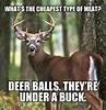 Dave McCoy's album, Timeline Photos