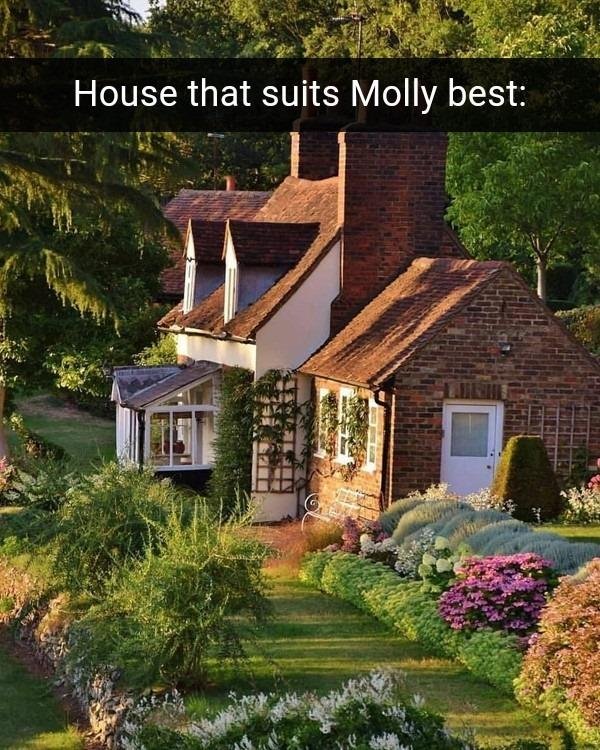 Molly Sargent's album, Timeline photos