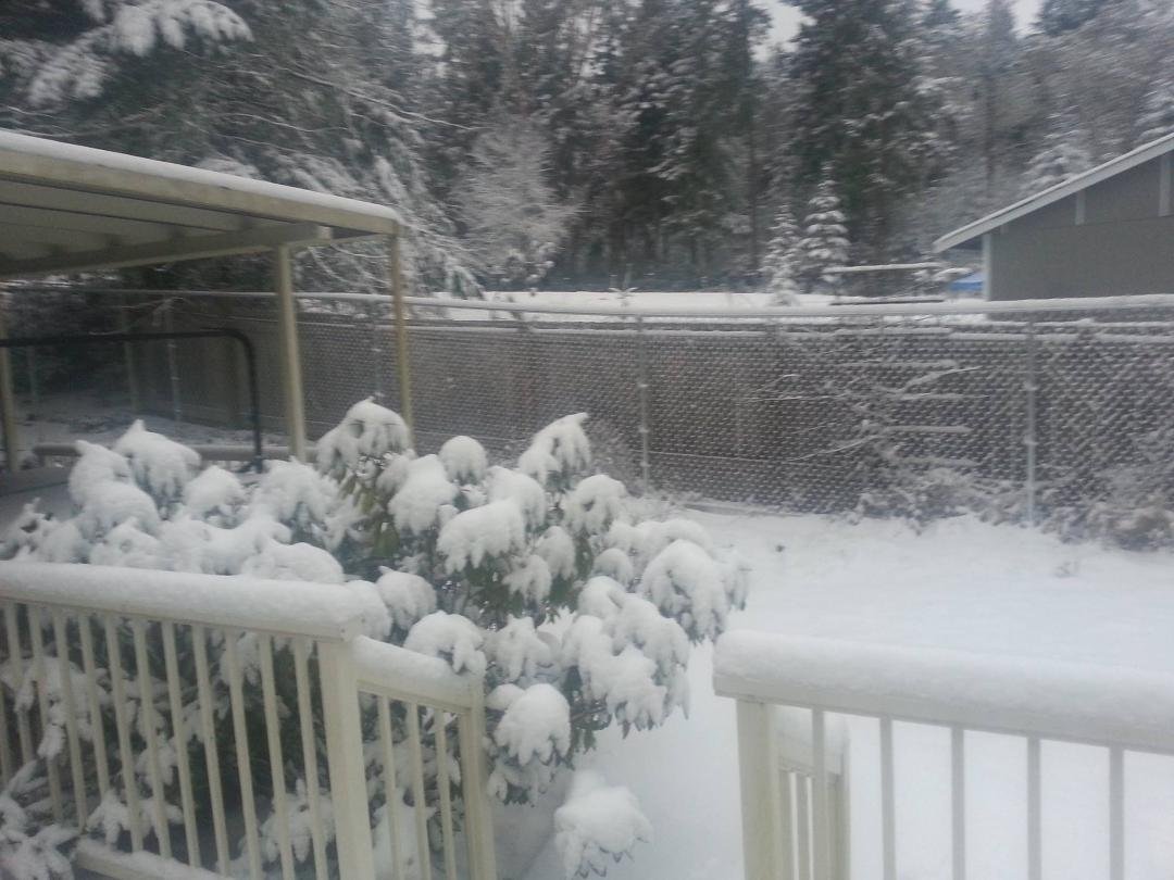 Doyle Hubbs' album, Timeline Photos