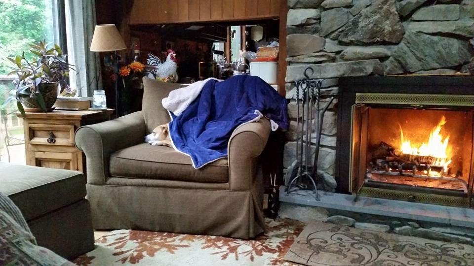 Keeping cozy on a chilly June evening in the Northeast.
