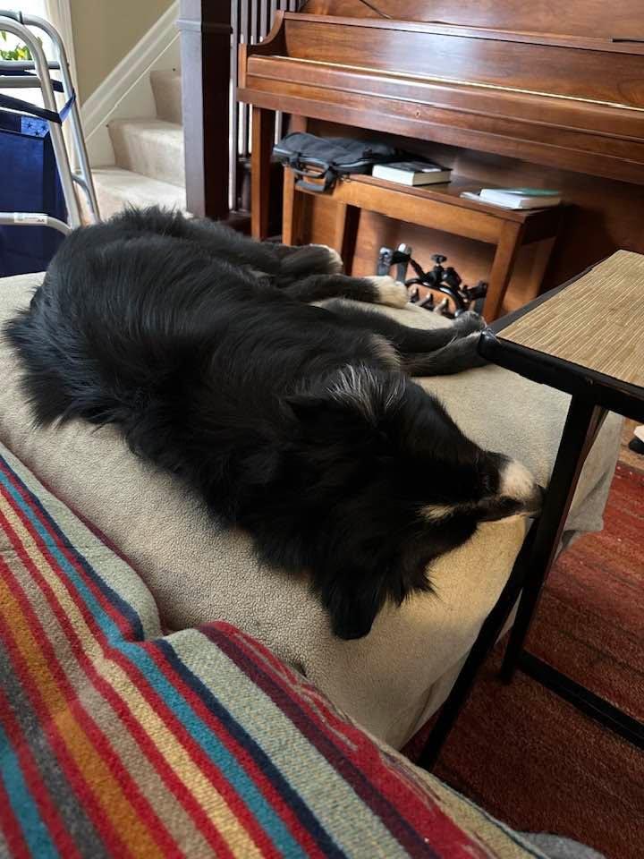 I’m so exhausted from all the lovely compliments I needed to take a little nap.