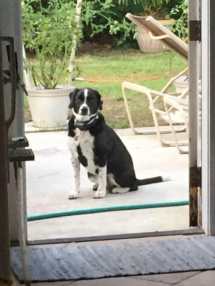 Hey!