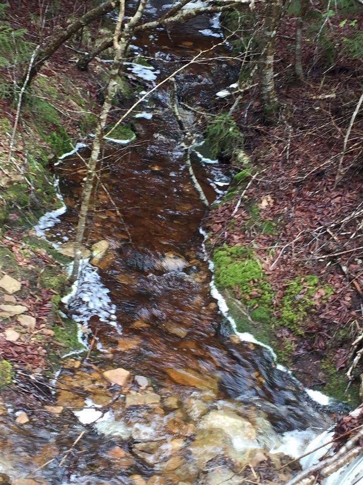 Our trip to West Virginia.